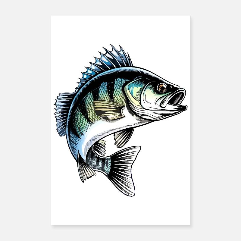 Illustration du poisson dynamique Jumping Perch Poster 40 x 60 cm
