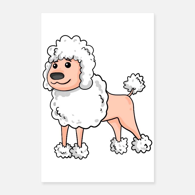 Caniche Race de chien blanc Poster 40 x 60 cm