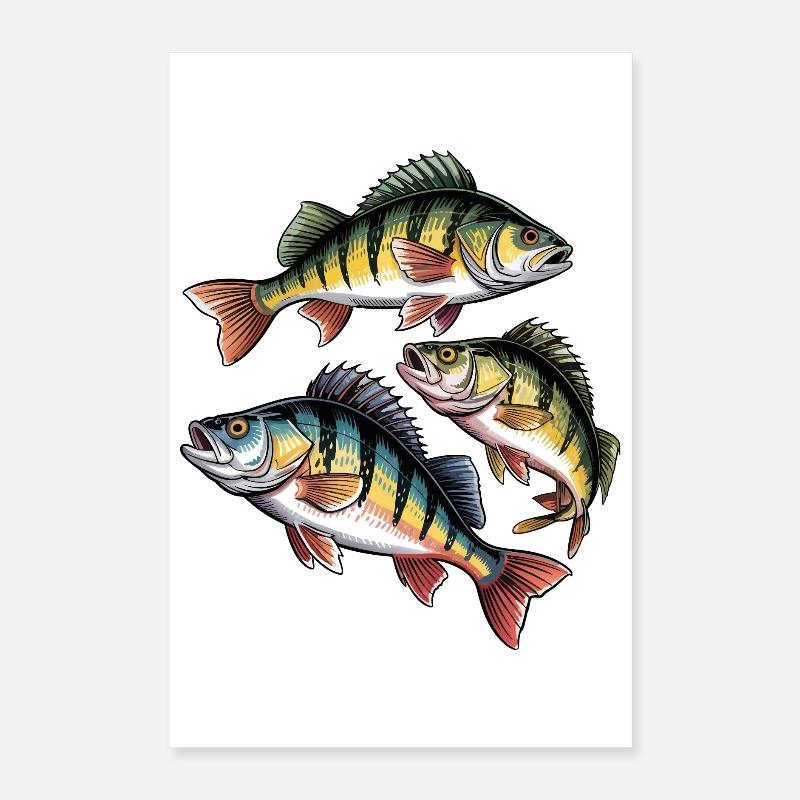 Barsch Motiv Poster 40x60 cm