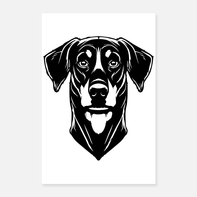Dobermann Poster 40x60 cm