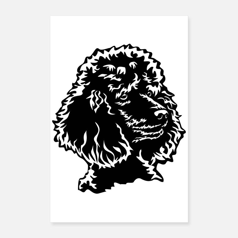 Pudel Kopf Poster 40x60 cm