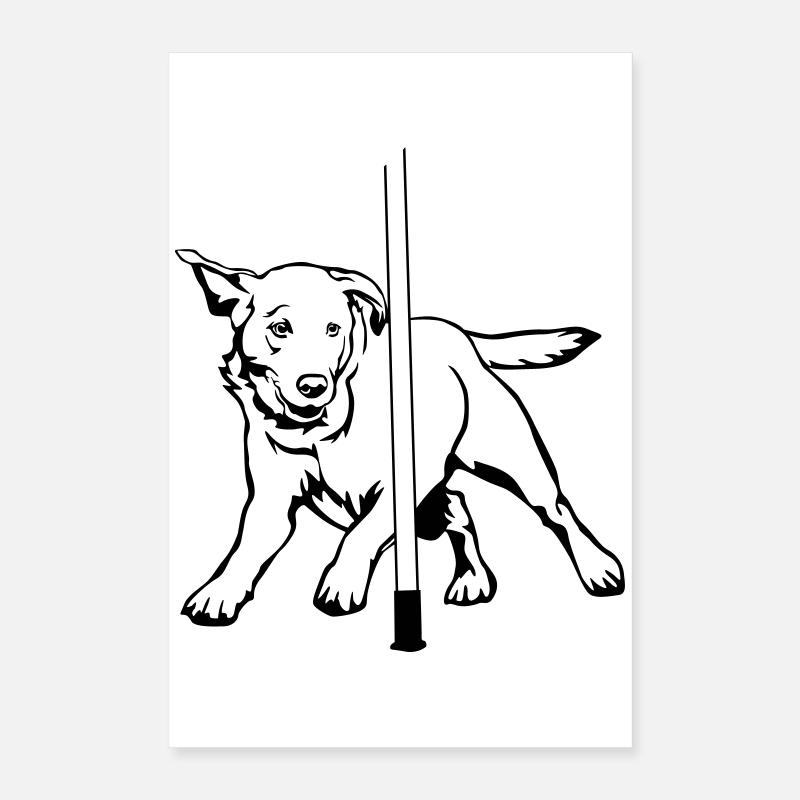 Labrador Poster 40x60 cm