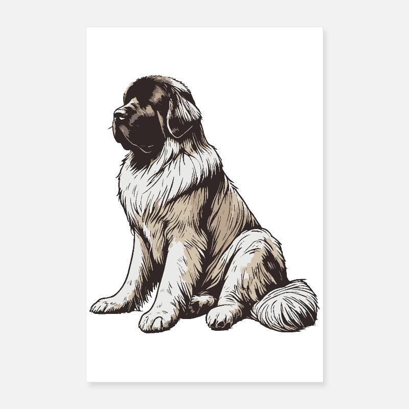 Terre-Neuve Poster 40 x 60 cm