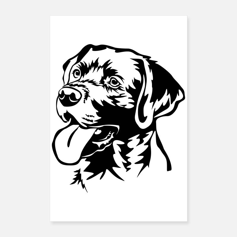 Labrador Retriever tête Poster 40 x 60 cm