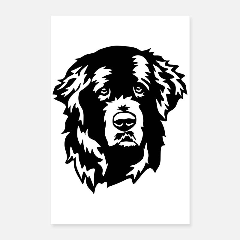 Newfoundland head Poster 16" x 24" (40x60 cm)