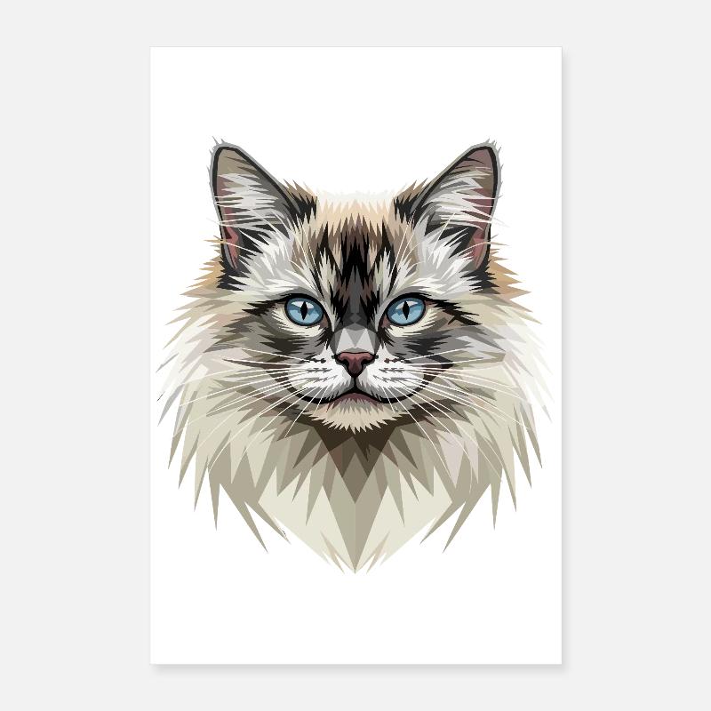 Chat Birman Chat Birman Sacré Chat Birman Mignons Chats Birman Poster 40 x 60 cm