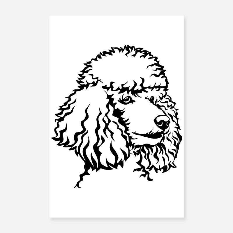Pudel Kopf Poster 40x60 cm