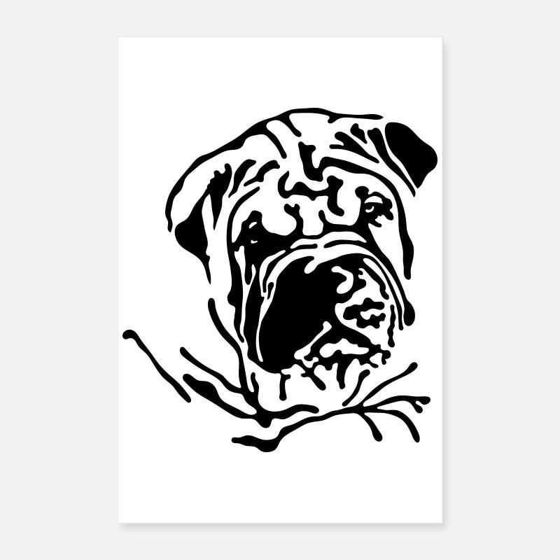 Shar-Pei Poster 40x60 cm
