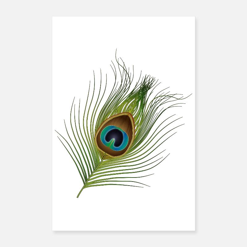plume de paon dessinée à la main Poster 40 x 60 cm