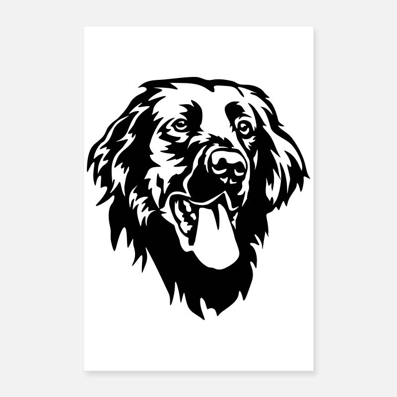 Flat-coated Retriever Kopf Poster 40x60 cm