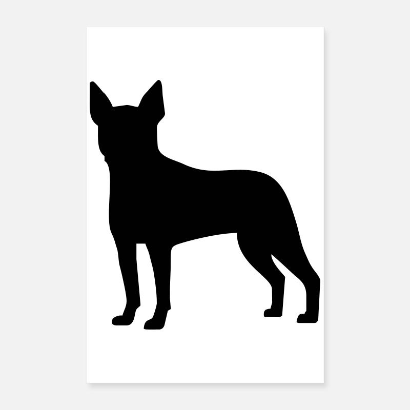 Boston Terrier Poster 40 x 60 cm