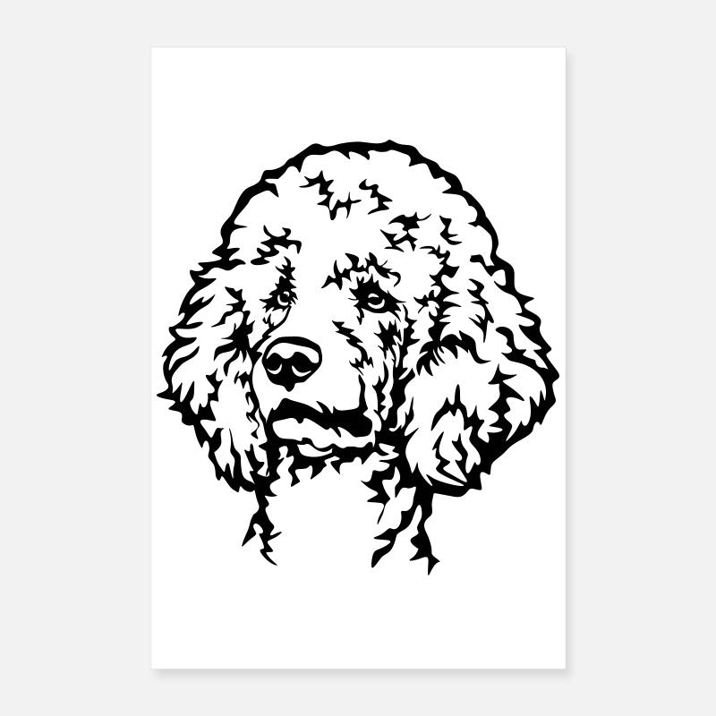 Tête de puiche Poster 40 x 60 cm