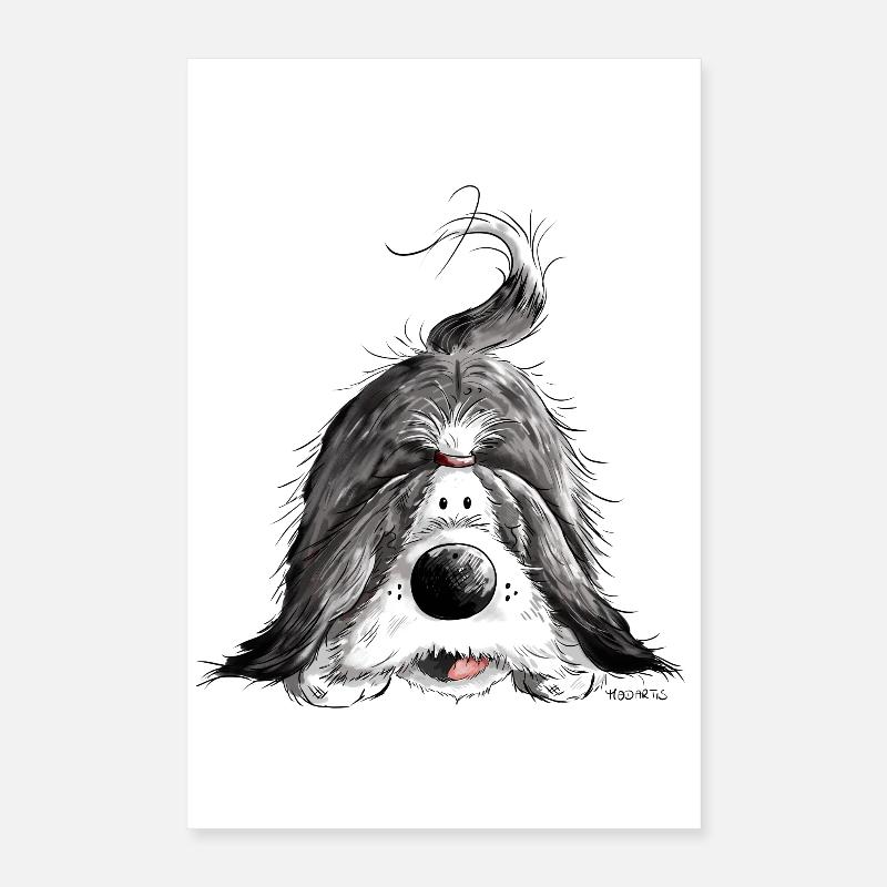 Funny Bearded Collie Poster 16" x 24" (40x60 cm)