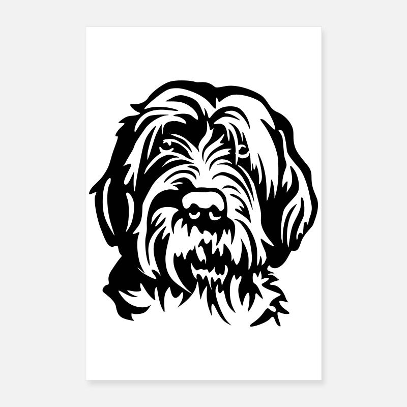 Griffon Korthal's Head Poster 16" x 24" (40x60 cm)