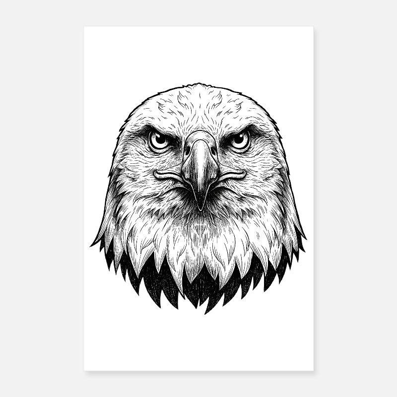 Adler Poster 40x60 cm