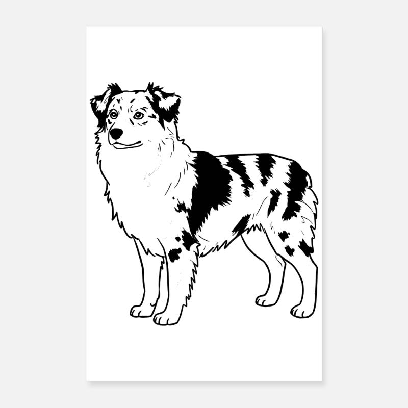 Australian Shepherd Poster 40x60 cm