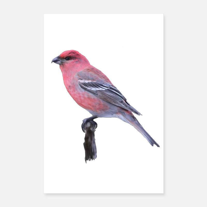 Cardinal aquarelle sur branche Poster 40 x 60 cm