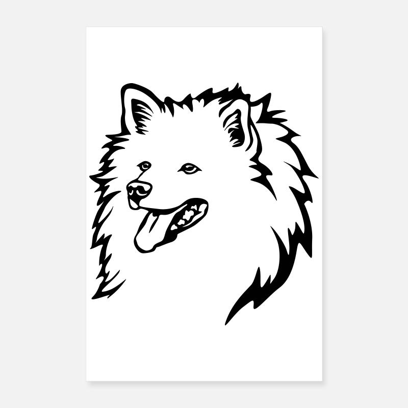 Spitz Kopf Poster 40x60 cm