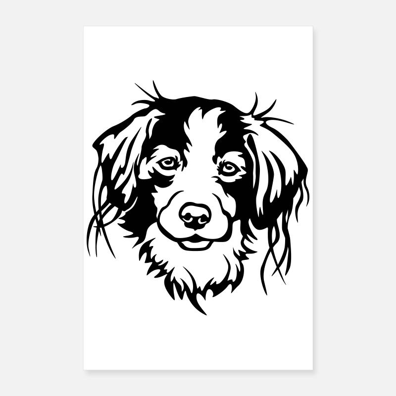 Kooikerhondje head Poster 16" x 24" (40x60 cm)