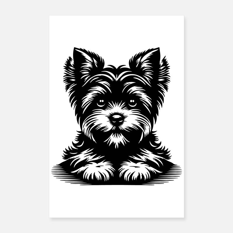 Yorkshire Terrier Kopf mit Pfoten Poster 40x60 cm