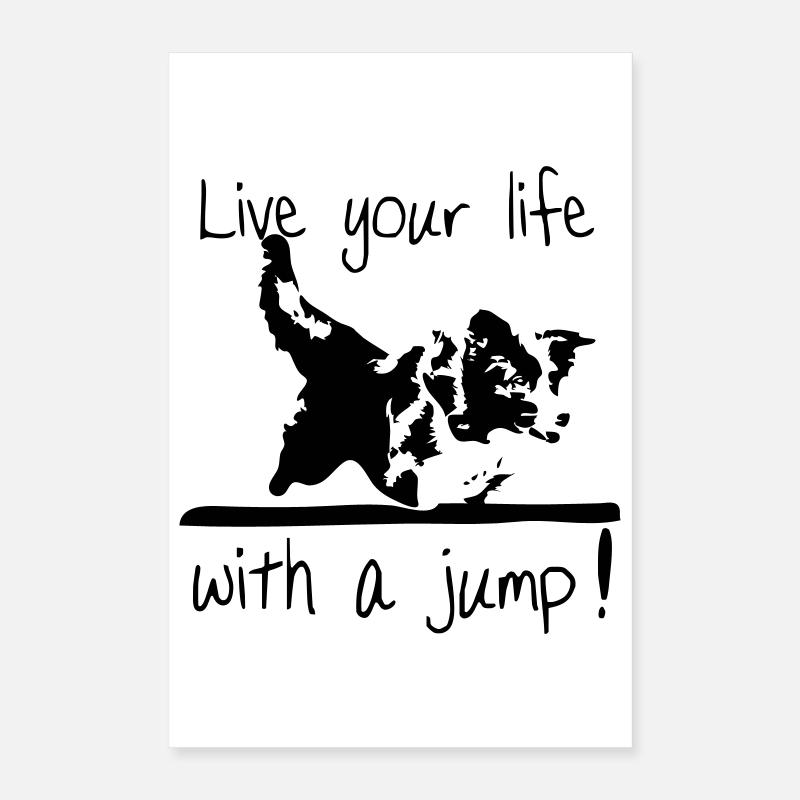 Border Collie - Agility Poster 40x60 cm