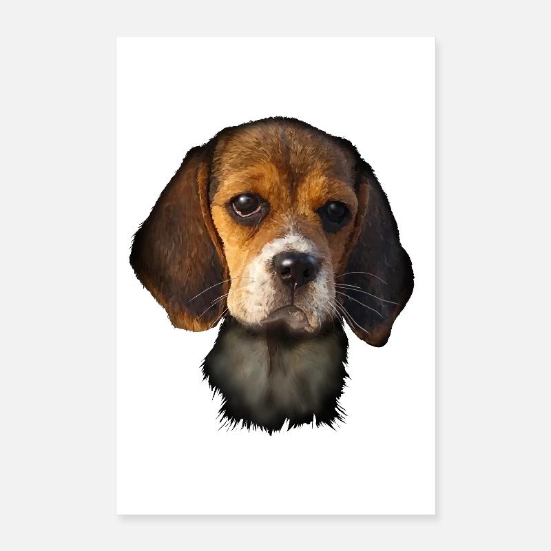 Beagle Poster 40 x 60 cm