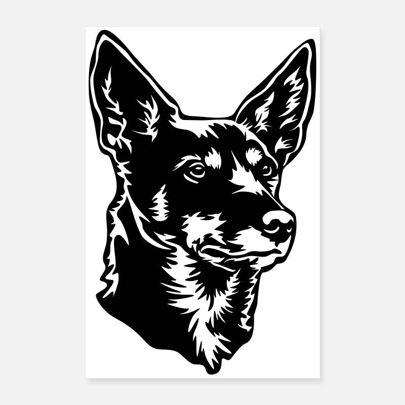 Tête de kelpie australienne Poster 40 x 60 cm