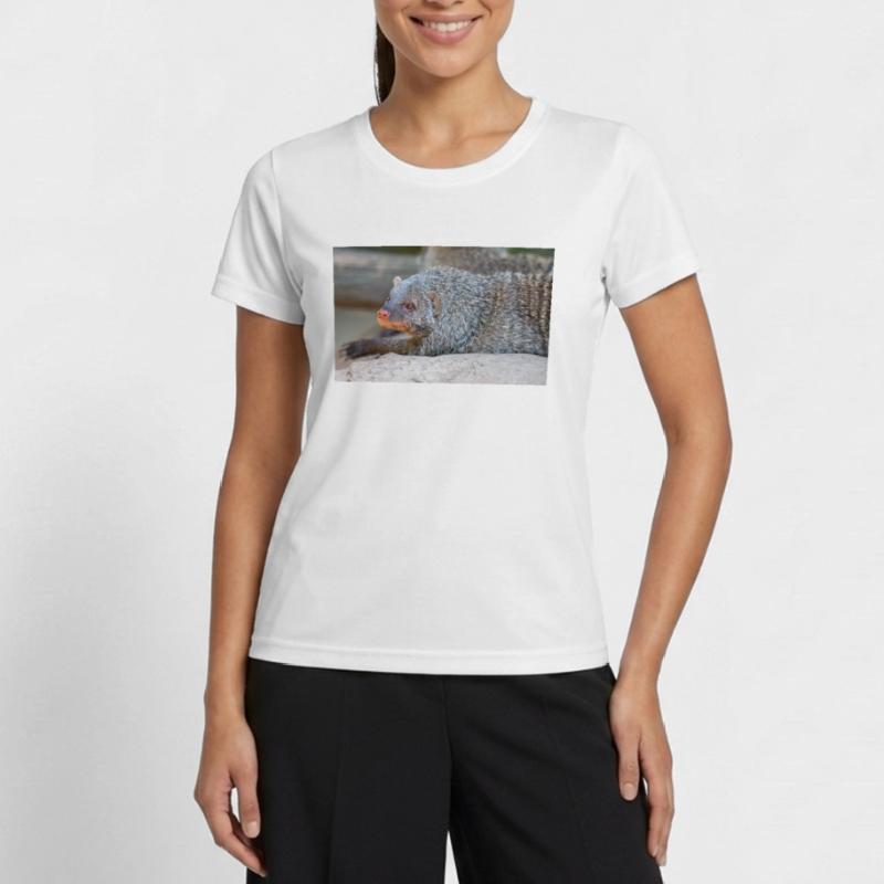 Gebänderte Manguste oder Zebramanguste Zebramanguste Frauen Funktions-T-Shirt