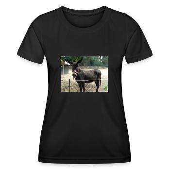Esel - Frauen Funktions-T-Shirt - Schwarz - Vorne - AI Model Female 172 light (172cm)