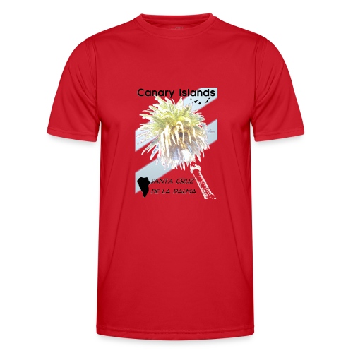 Santa Cruz de La Palma - Männer Funktions-T-Shirt