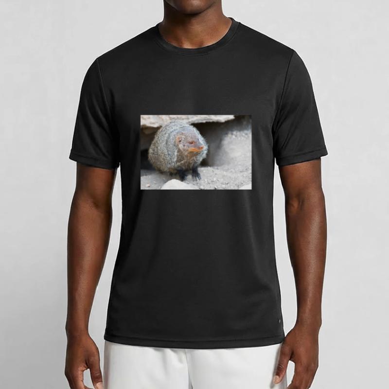 Gebänderte Manguste oder Zebramanguste Männer Funktions-T-Shirt