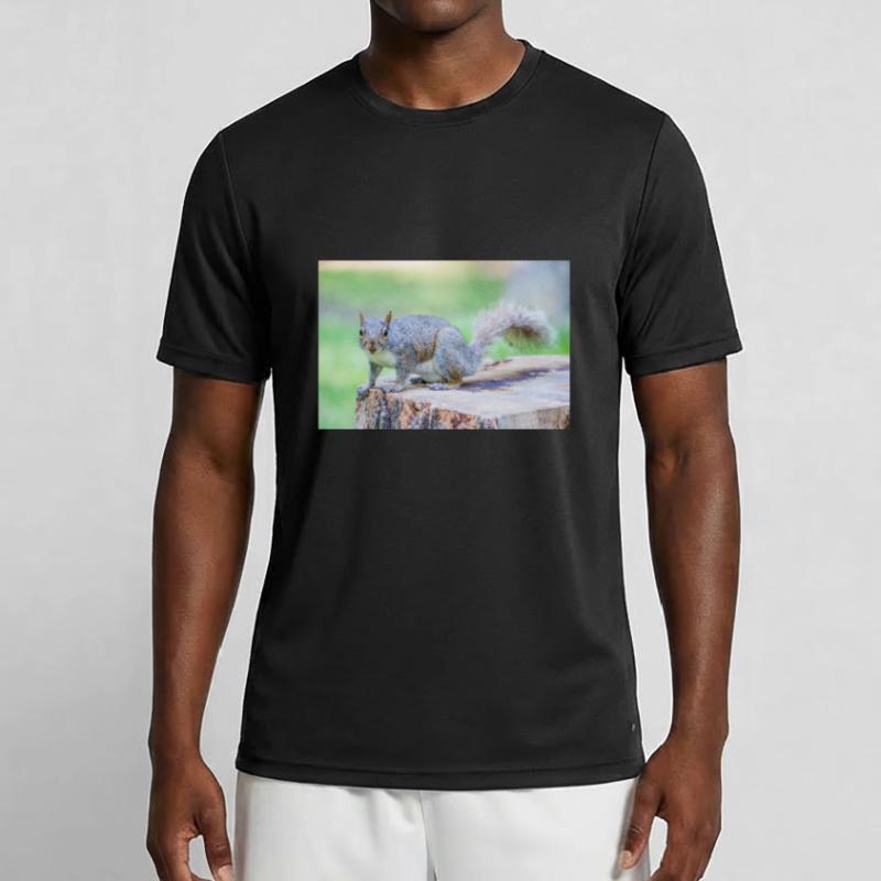 Grey squirrel Grauhörnchen Sciurus carolinensis Men's Functional T-Shirt