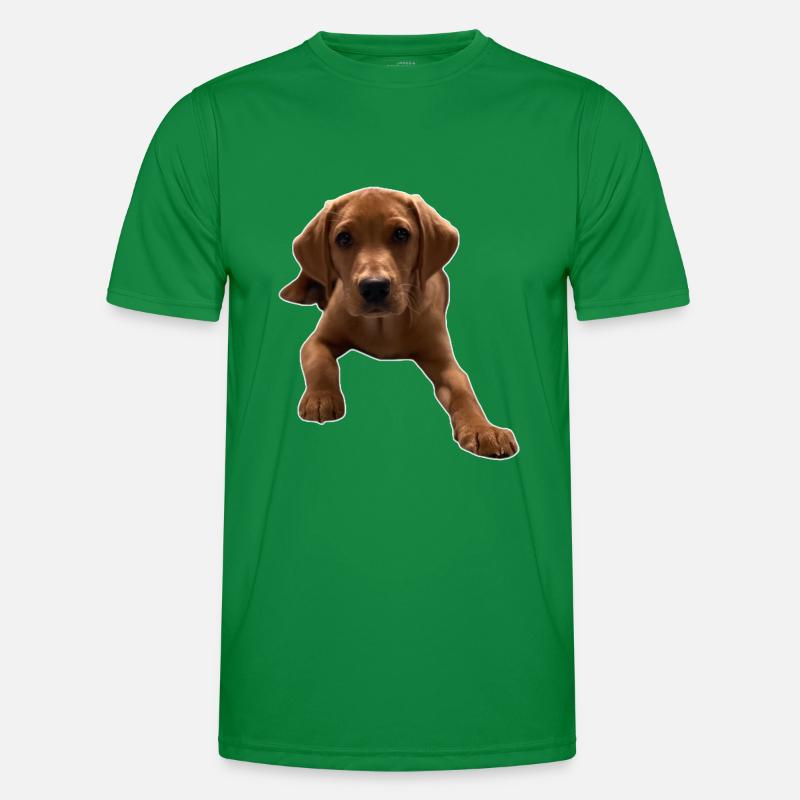 Down Dexter Men's Functional T-Shirt