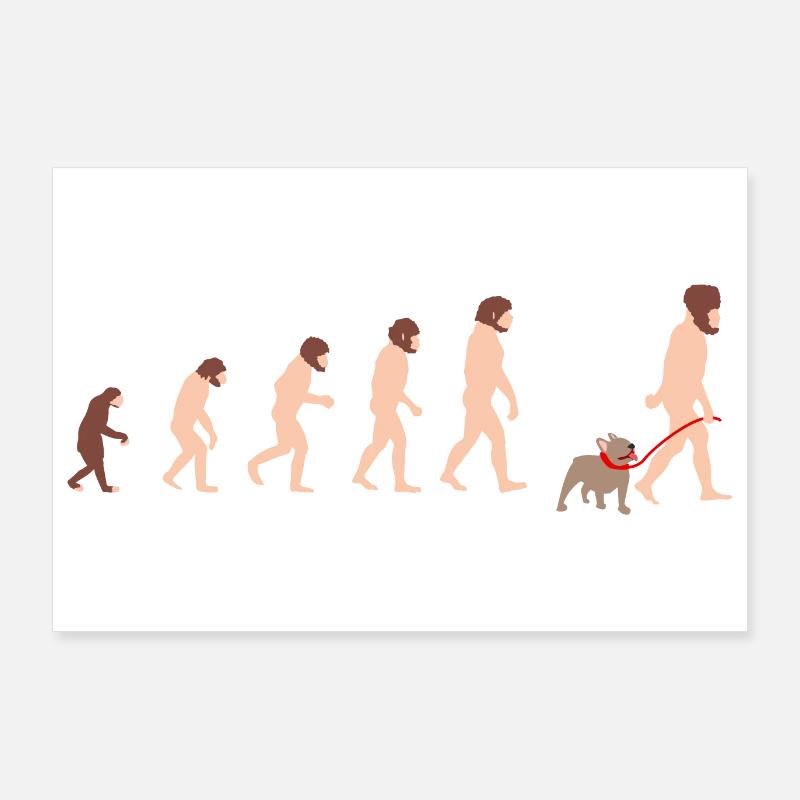Die Evolution des Mensch Mann mit French Bulldog Poster 90x60 cm