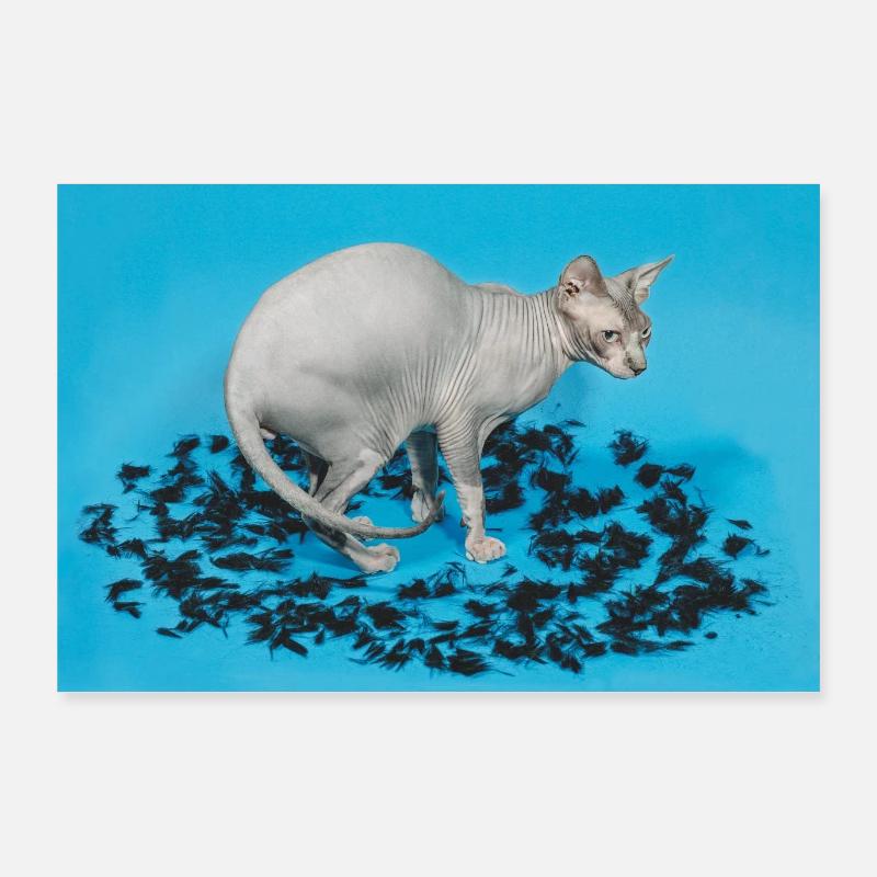 "Chanceux le chat" Poster 90 x 60 cm