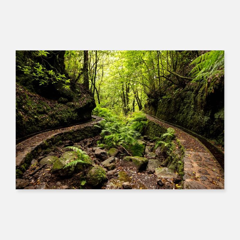 Levada dos Cedros auf Madeira - Poster 90x60 cm - Weiß