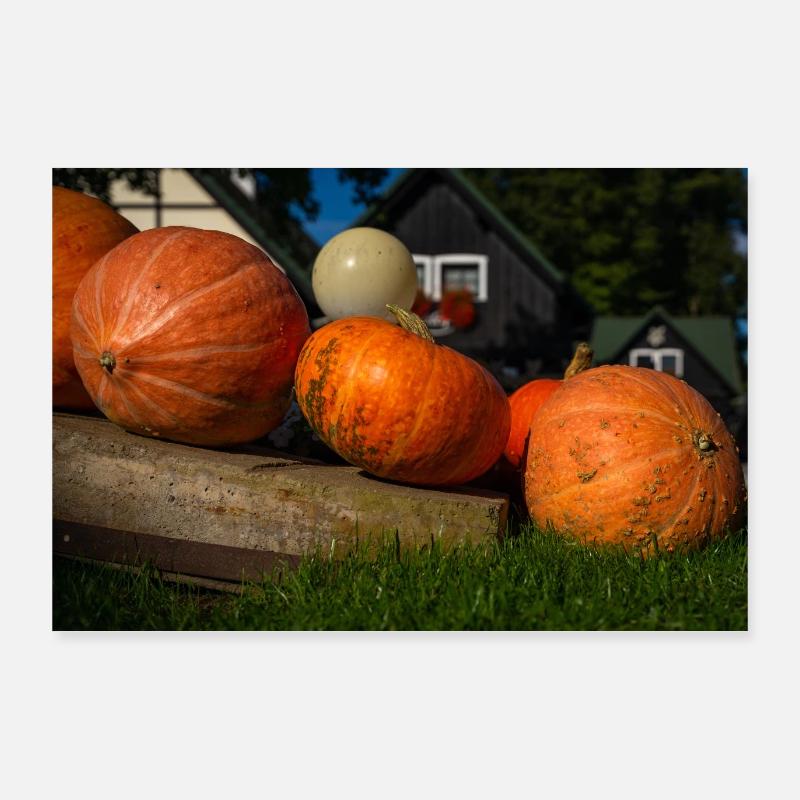 Pumpkin Poster 36" x 24" (90x60 cm)