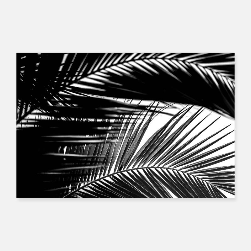 Black and white palm leaf poster Poster 36" x 24" (90x60 cm)