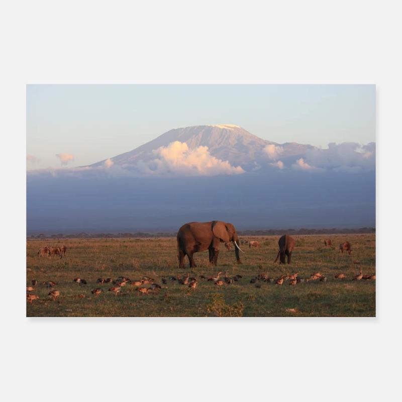 Afrique Poster 90 x 60 cm
