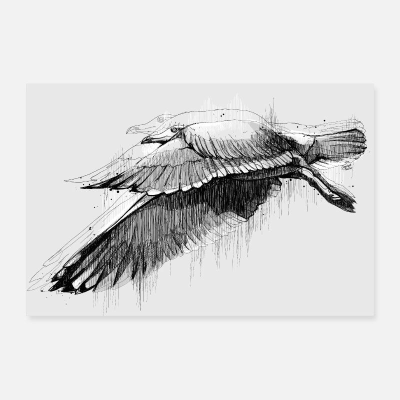 Seagulls Dive Poster 36" x 24" (90x60 cm)