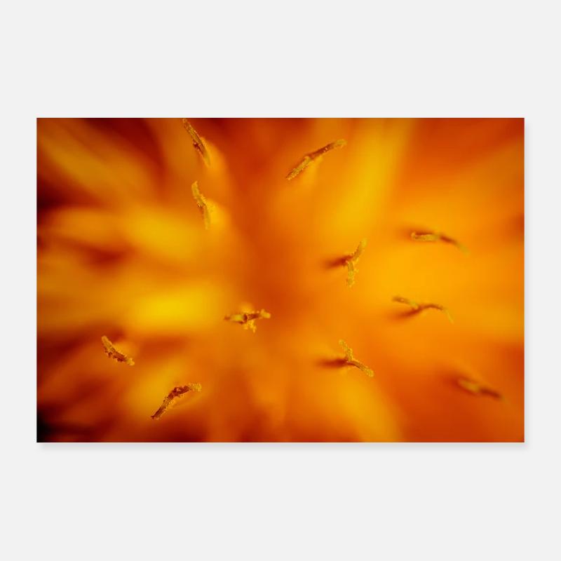 pisenlit Poster 90 x 60 cm