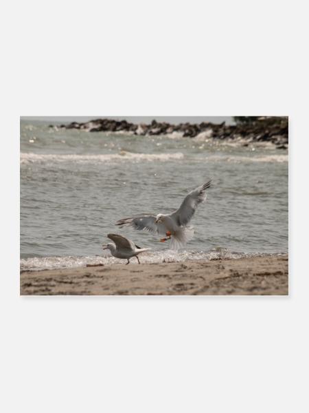 Zwischen Himmel und Meer - Poster 90x60 cm - Weiß - Vorne