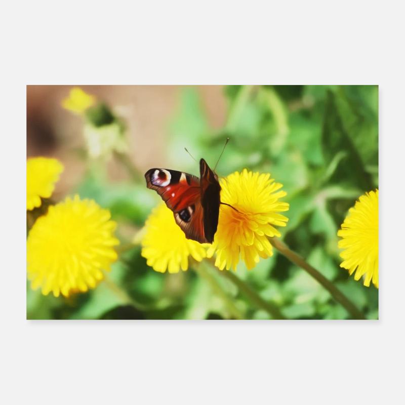Schmetterling - Poster 90x60 cm - Weiß