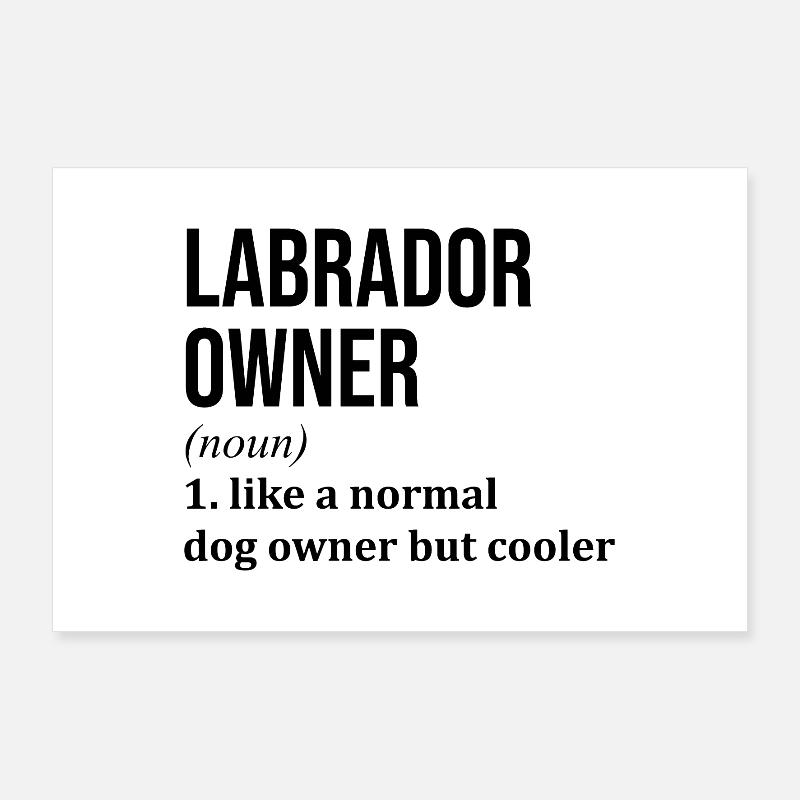 Labrador Poster 90x60 cm