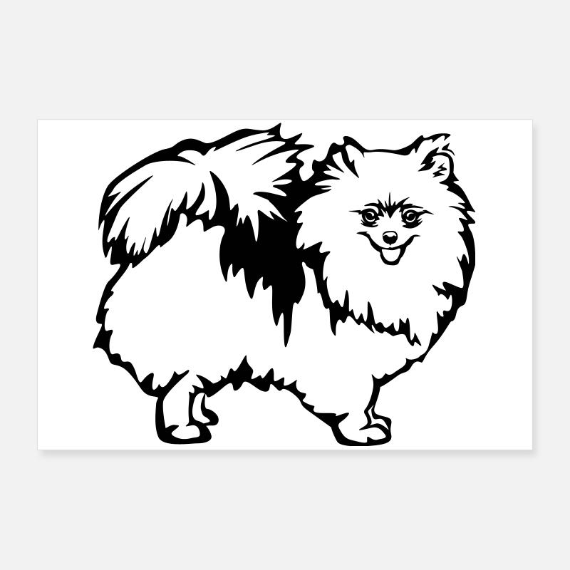 Spitz nain Poster 90 x 60 cm