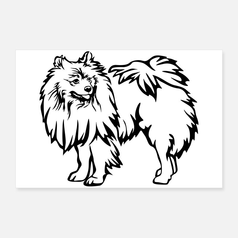 Spitz Poster 90x60 cm