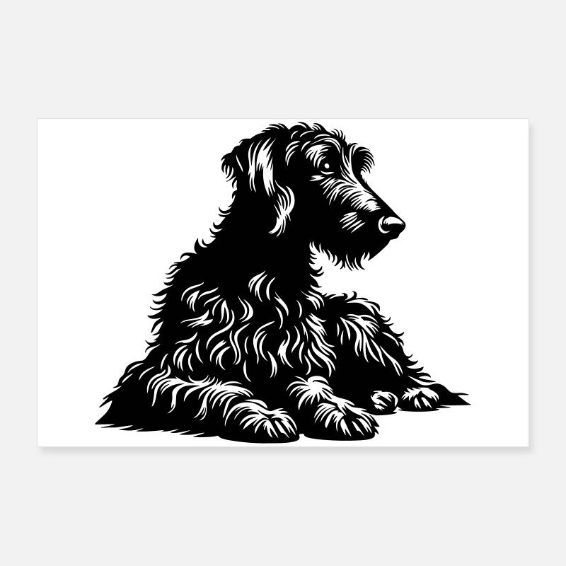 Lévrier écossais Poster 90 x 60 cm