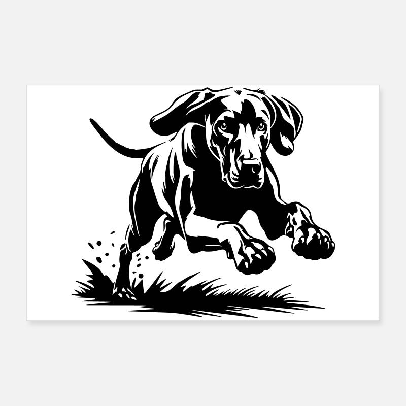 Weimaraner Poster 90 x 60 cm