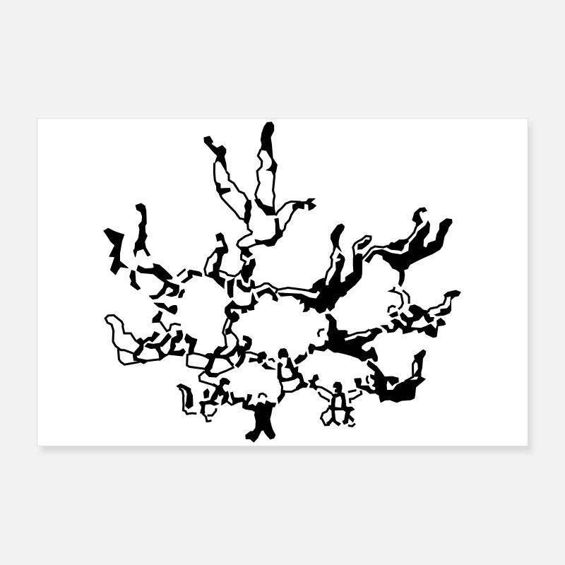 parachutisme Poster 90 x 60 cm