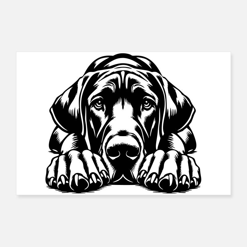 Deutsche Dogge Poster 90x60 cm